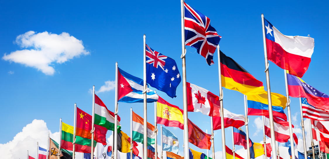 Transfer Pricing